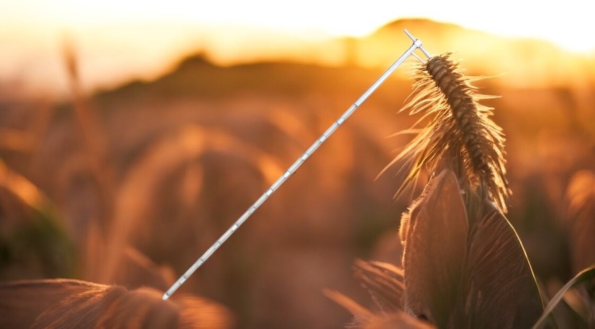 Numune Alma Probu - Tahıl Örnekleme Sondası
